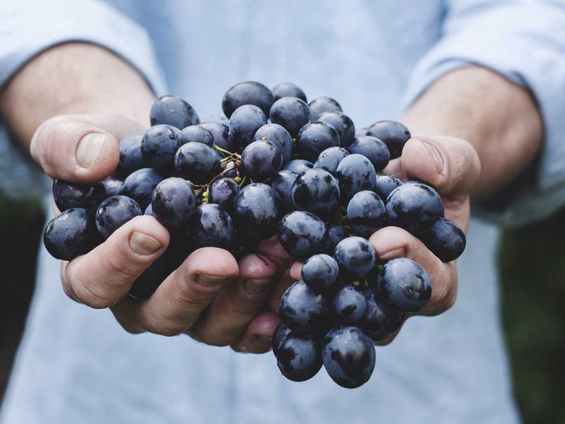 Wellness University Hospital